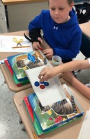 3rd Grade Balanced Forces