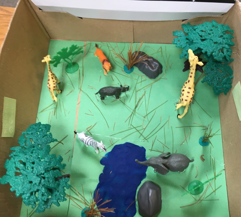 2nd Grade Science Project | Lee County Elementary