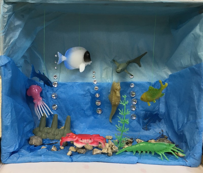 2nd Grade Science Project | Lee County Elementary